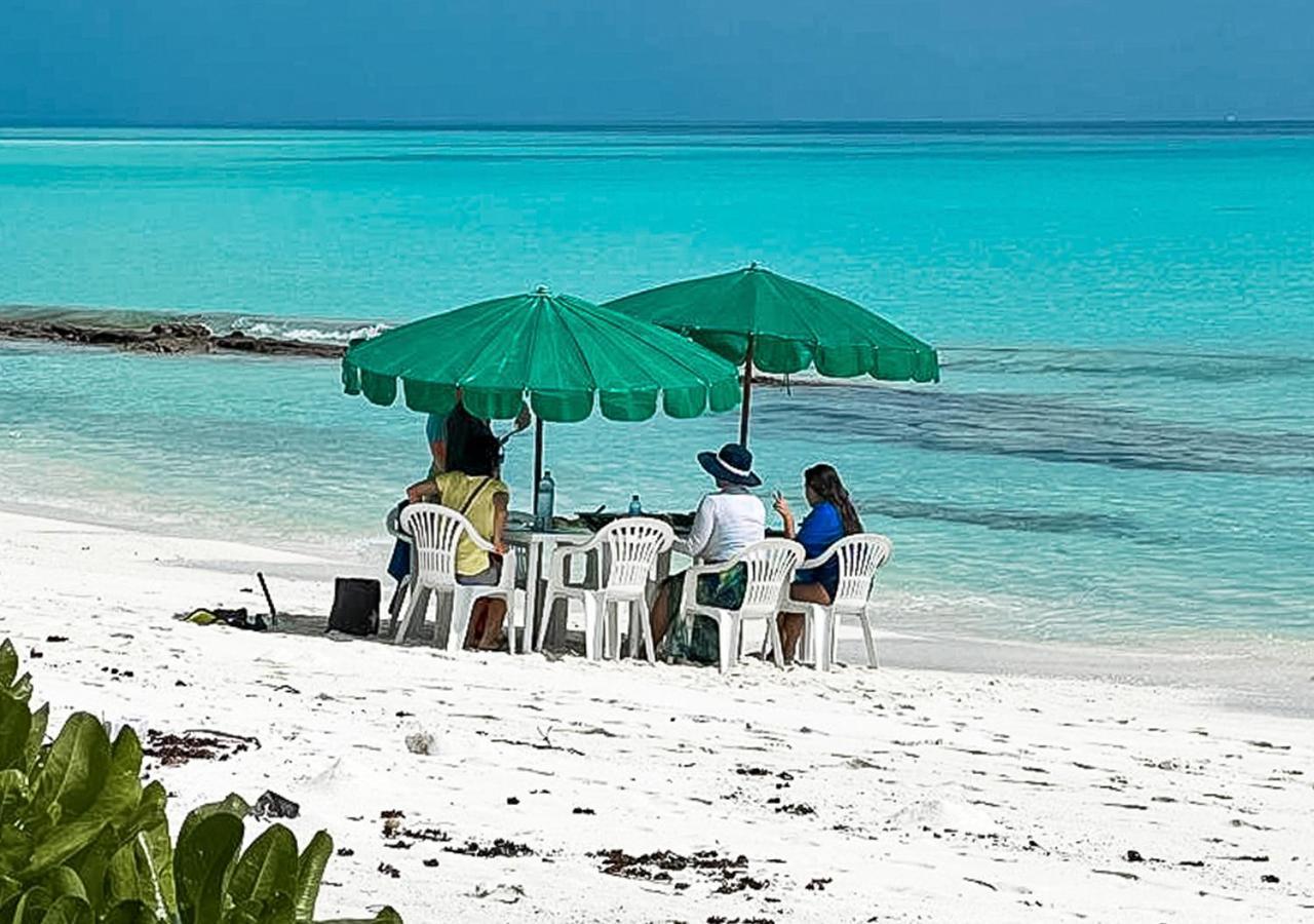 מלון Fehendhoo Tropical Tree מראה חיצוני תמונה