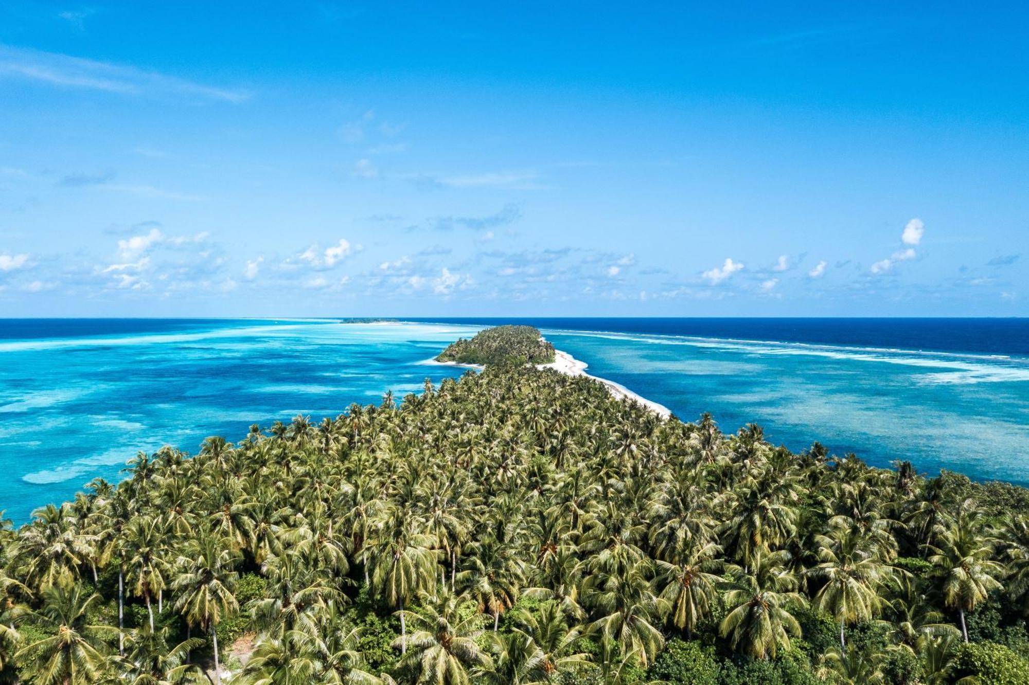 מלון Fehendhoo Tropical Tree מראה חיצוני תמונה
