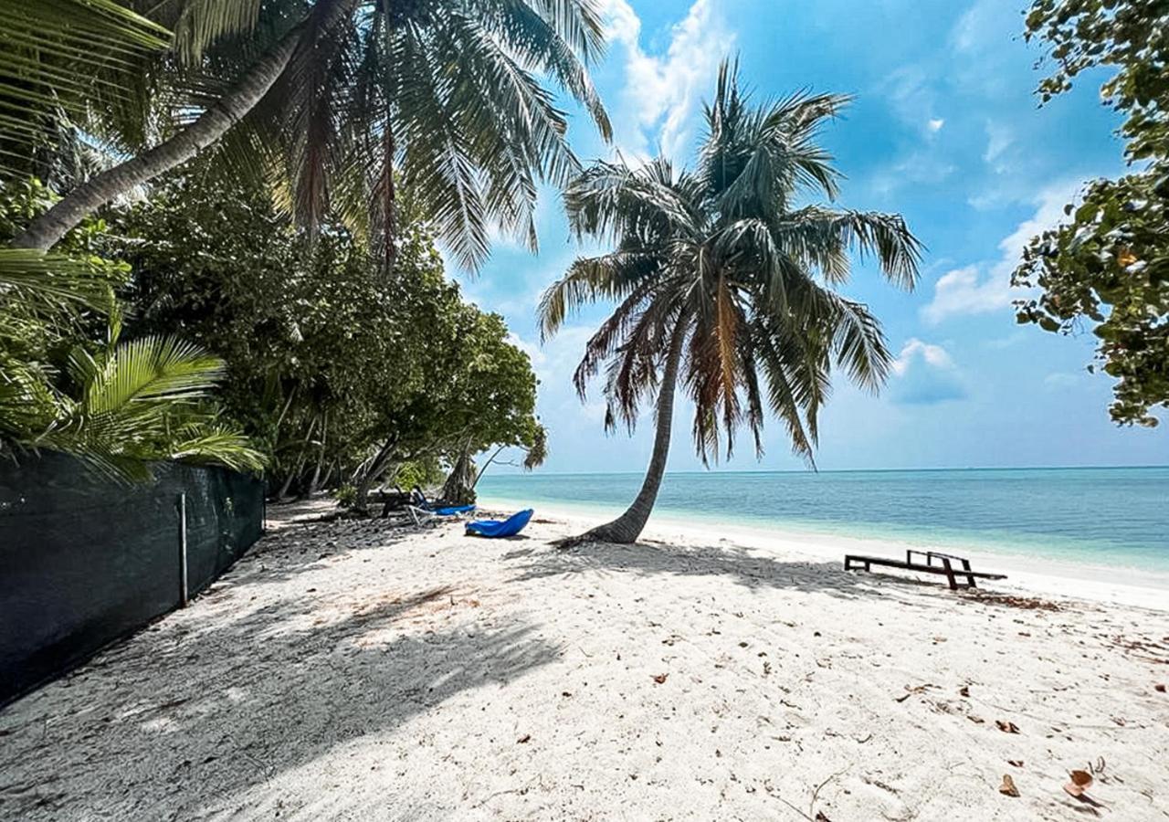 מלון Fehendhoo Tropical Tree מראה חיצוני תמונה